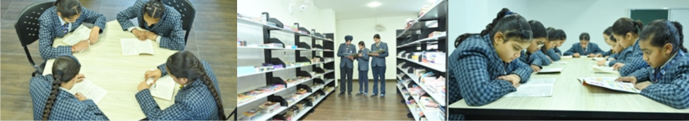 mlzs-banner