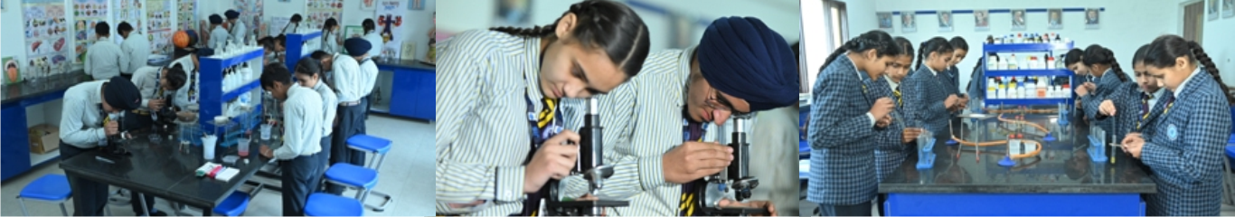 mlzs-banner