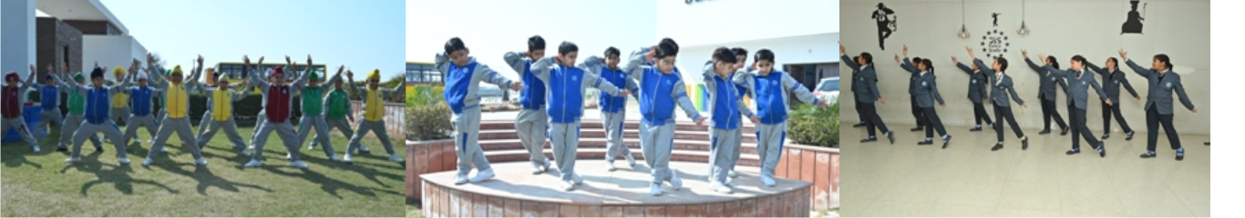 mlzs-banner