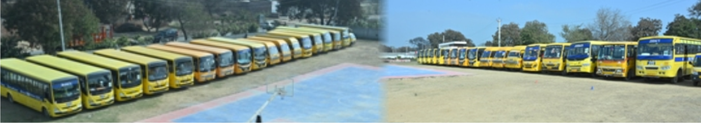 mlzs-banner